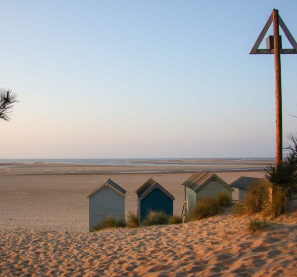 A beach view looking out to see, showing the back of four wooden beach huts and the edges of some pine trees.