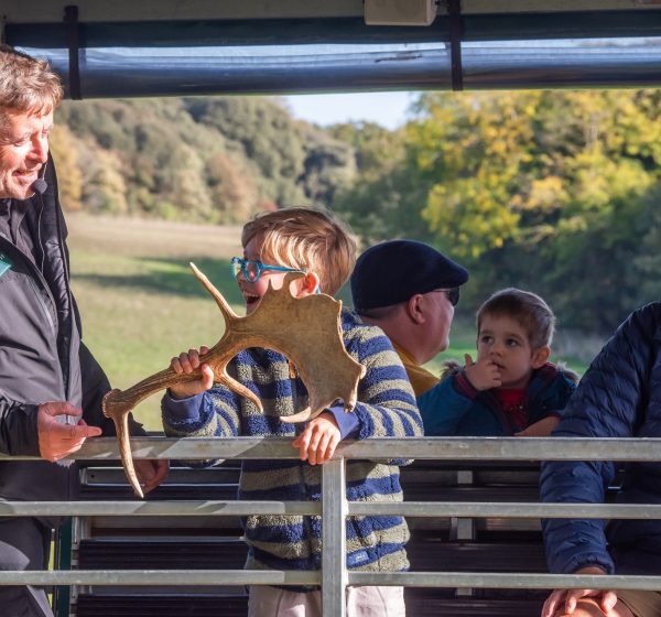 A boy holds a deer antler while laughing with a tour guide on the tractor trailer tour at Holkham Park.