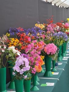 A rainbow of flowers in tall green plastic vases linked up on a table with a grey backdrop.