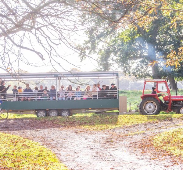 People sit on a trailer being pulled by a tractor