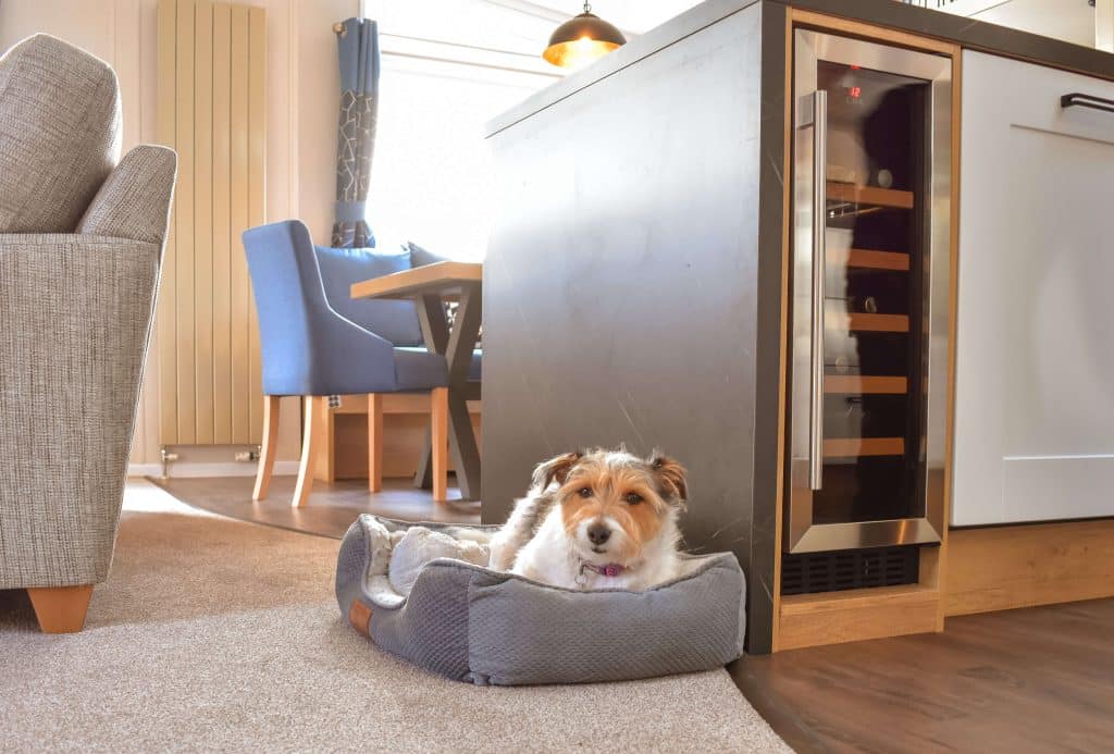 A jack russell sits in a dog bed in a holiday lodge at Pinewoods