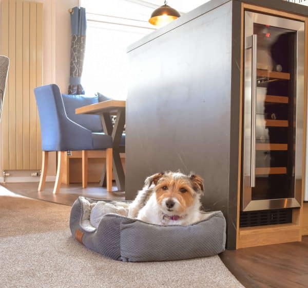A jack russell sits in a dog bed in a holiday lodge at Pinewoods
