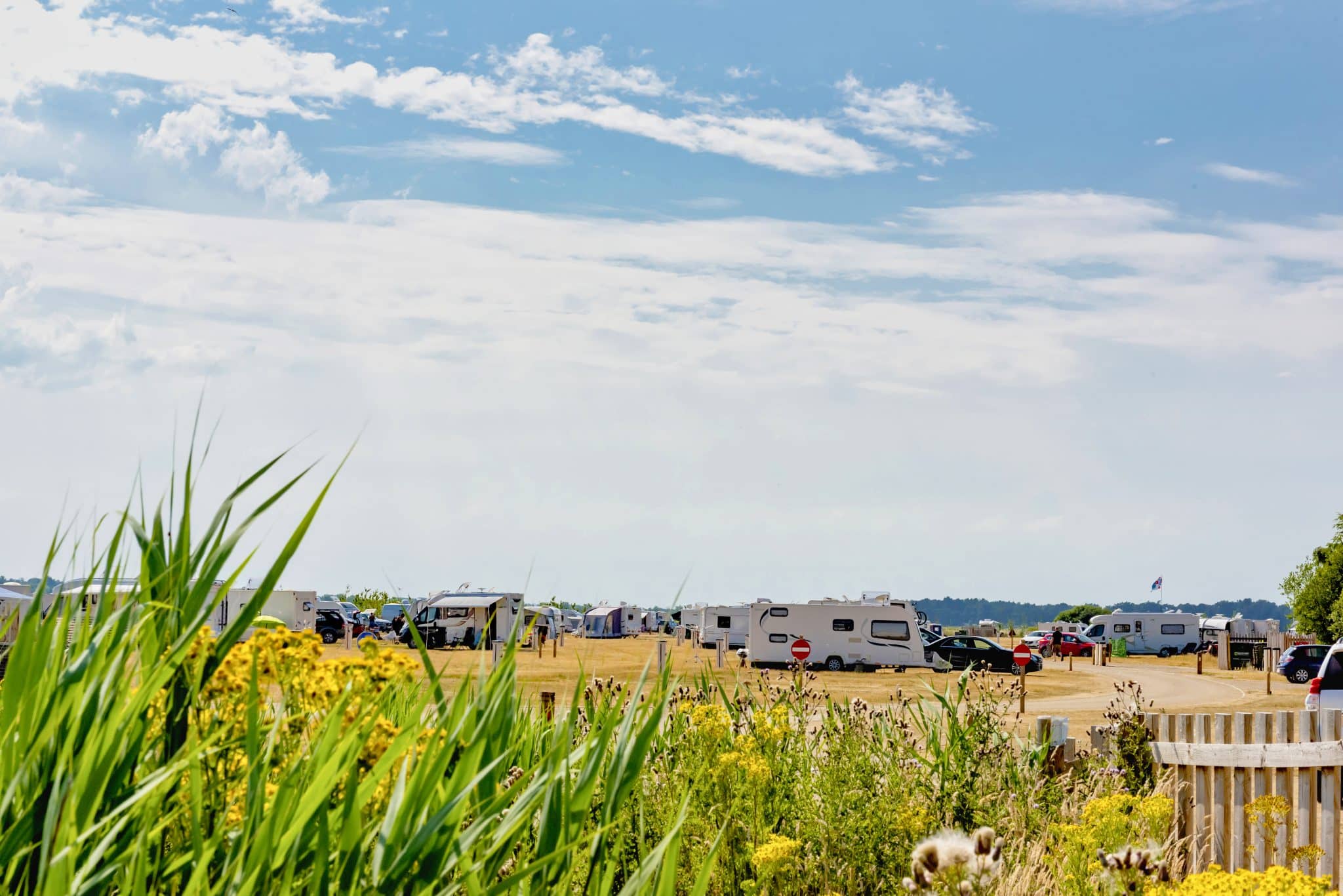 Caravans, campervans and motorhomes on pitches at Pinewoods touring park, surrounded by bushes and trees and with a blue sky