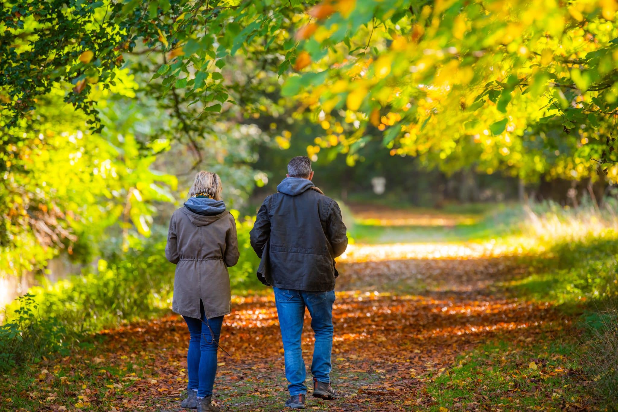 A couple walk though autumn leaves in Holkham, North Norfolk