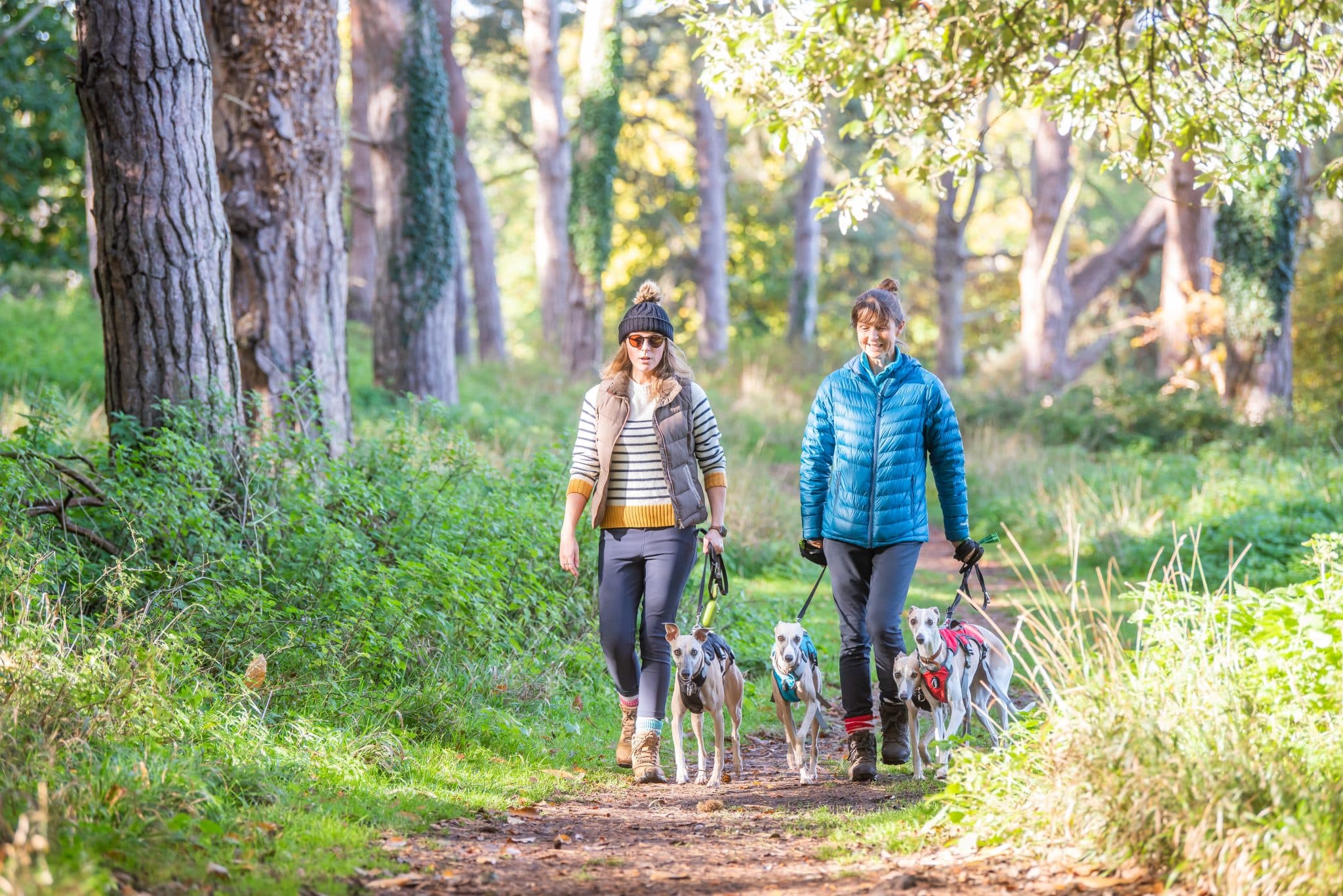 Two adults walk their dogs on an autumn day under trees