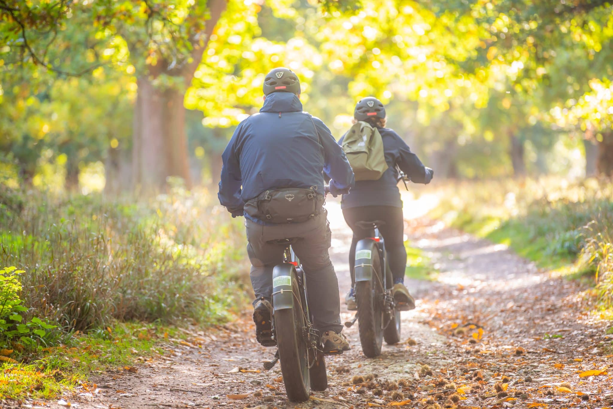 Two adults cycle away from the camera along a path covered in autumn leaves