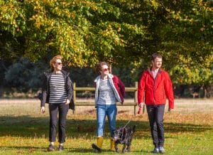 Three adults and a dog walk on a sunny autumn day in Holkham Park