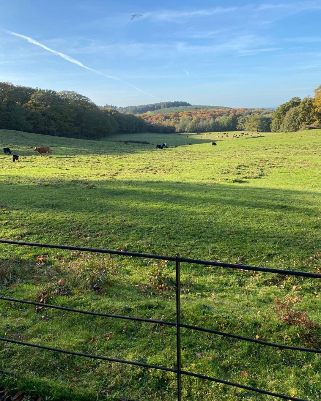 Countryside views in Sheringham Park