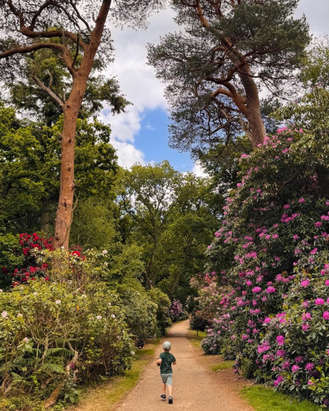 A young boy runs along a path in Sheringham Park